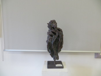 2005 - Comune di Meolo (VE)